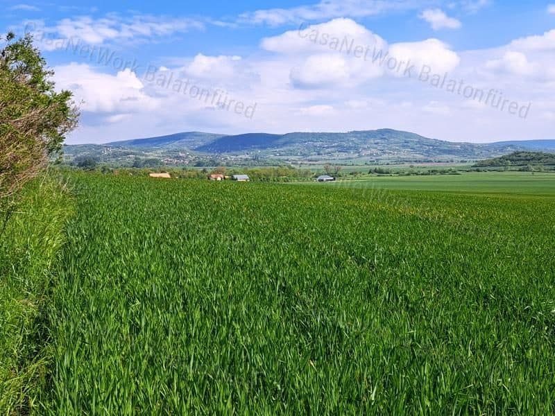 Ackerfläche in guter Lage bei Mindszentkálla