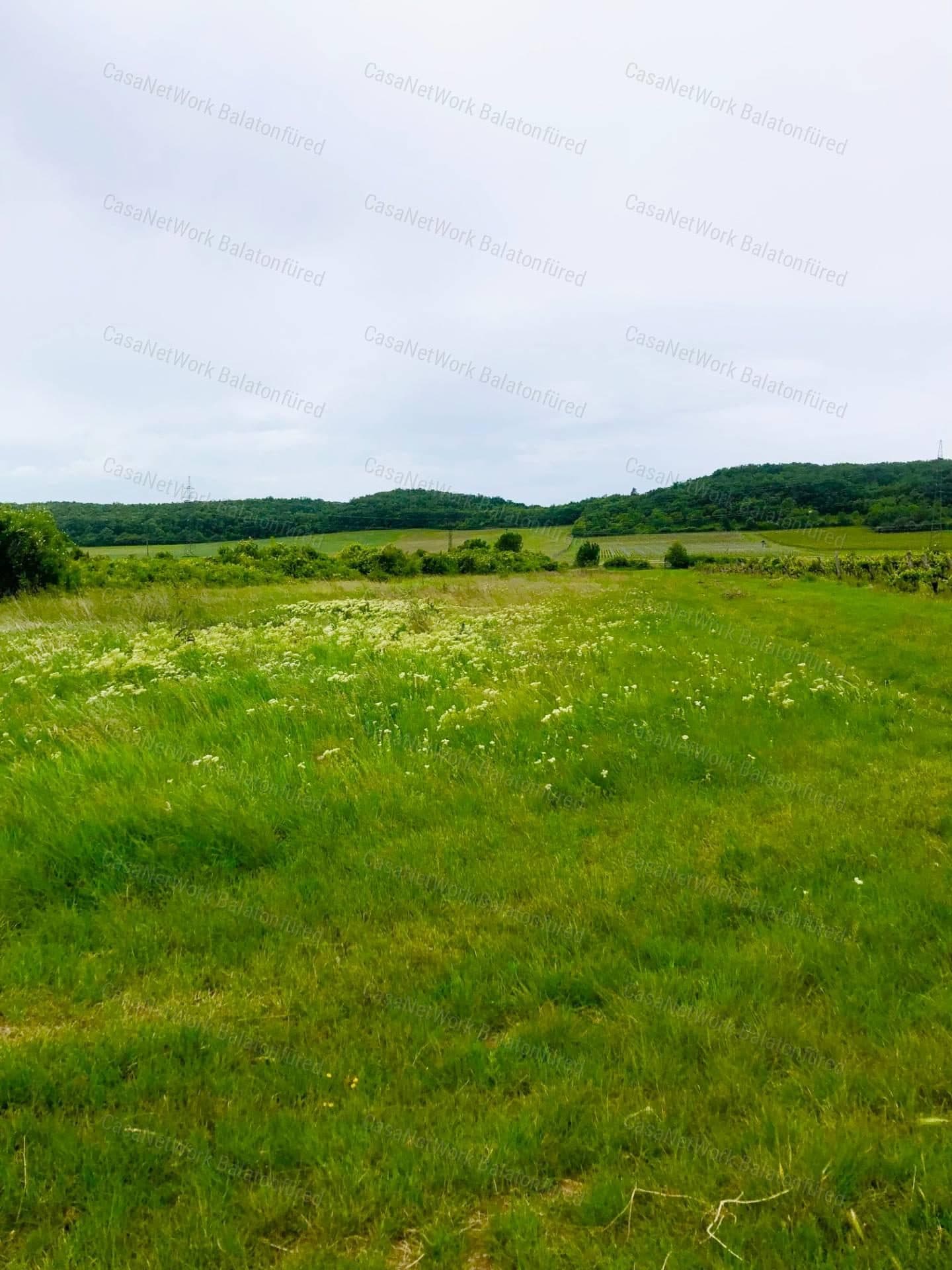 Landwirtschaftsfläche in Balatonszőlős