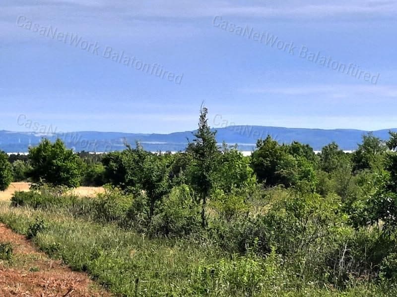 Waldgrundstück in Balatonudvari - Nähe Ortskern - Verkauf
