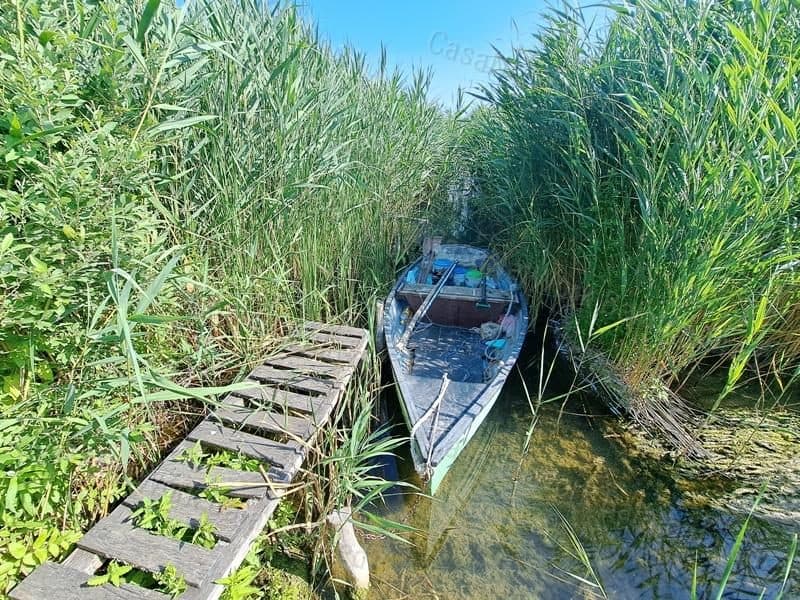 Landwirtschaftliche Fläche direkt am Balaton in Balatonakali