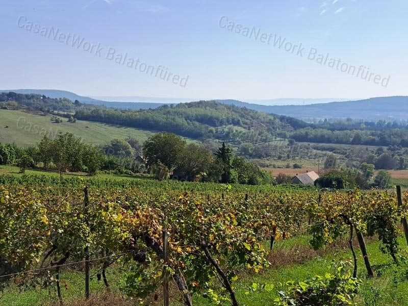 Weinberg mit Panoramablick in Mindszentkálla