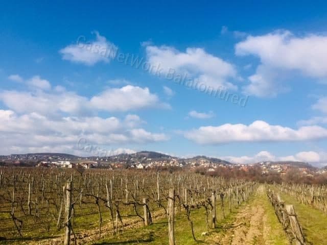 Weinberghang mit Baurecht in Balatonfüred