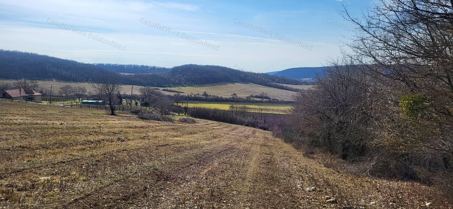 Bebaumbares Weinberg-Grundstück mit Landschaftspanorama in Balatoncsicsó