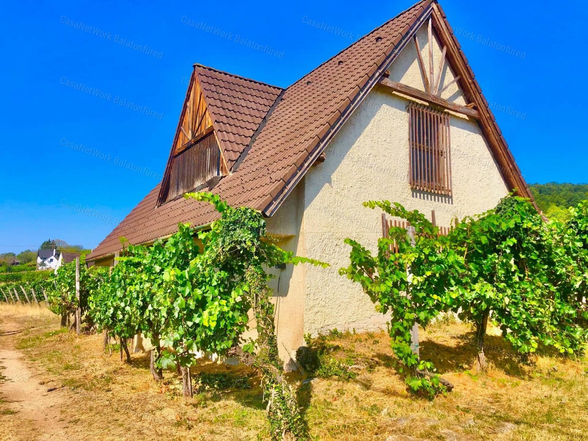 Familien-Weinbaubetrieb am Balaton in Balatonakali