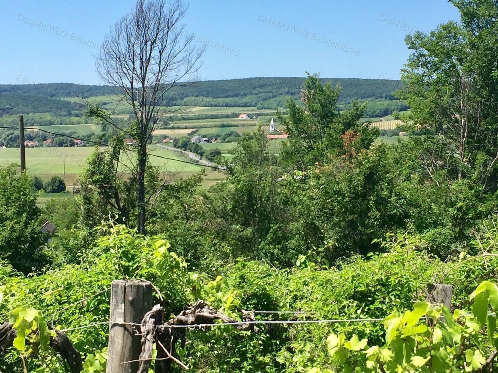 Nivegy-Tal - Hanghang an der Berglehne