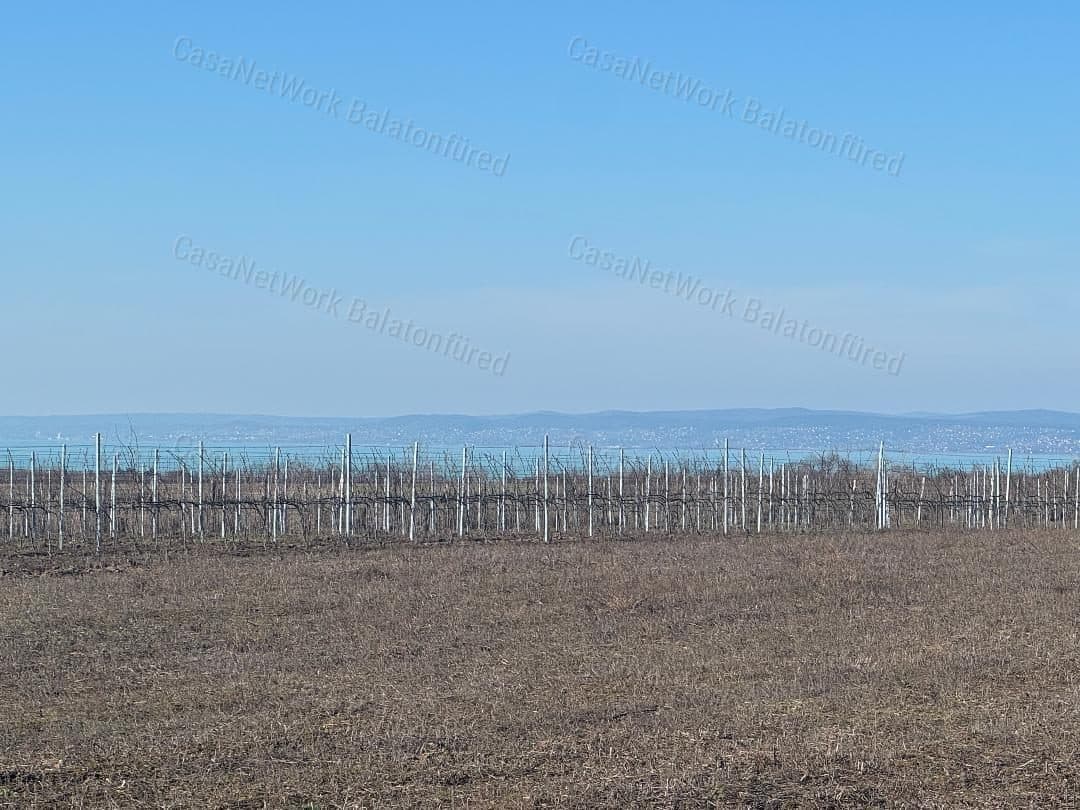 Weingut mit Balaton-Panorama in Balatonvilágos