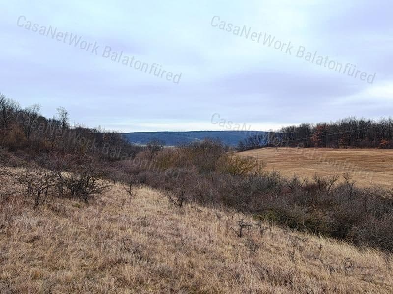 Weideland an der Landstraße in Balatonalmádi