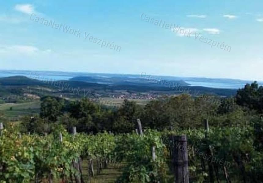 Weinbergfläche mit Blick auf den Balaton