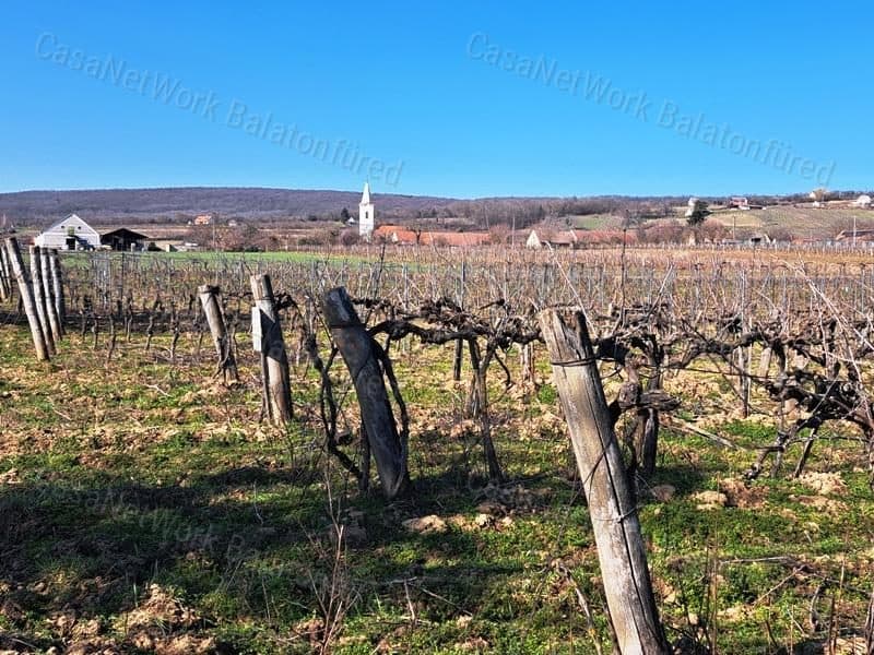 Weinbaugrundstück in Balatoncsicsó
