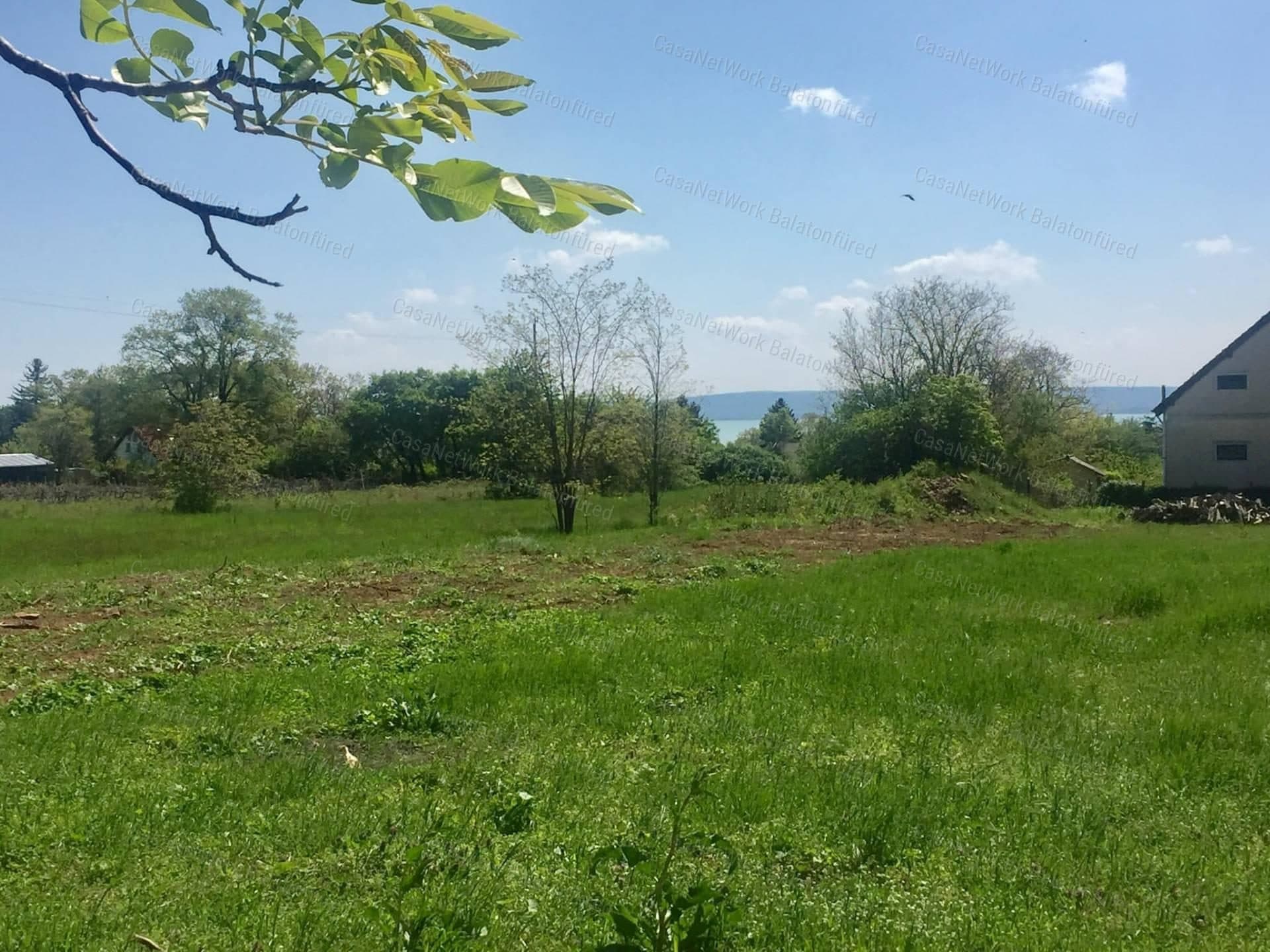 Weinberg mit ewigem Balaton-Panorama in Balatonszepezd