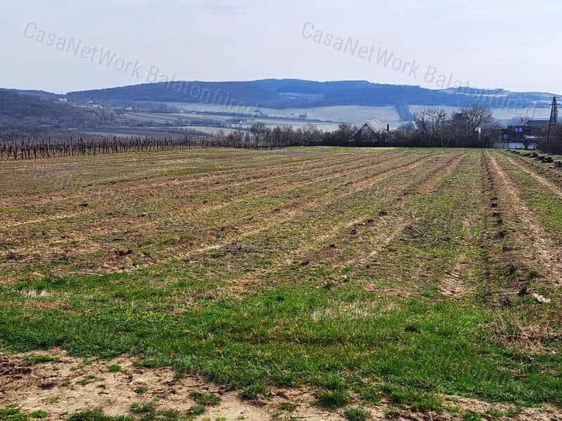 Weinberg mit Panoramablick auf den Balaton im Herzen des Nivegy-Tals, Szentjakabfa