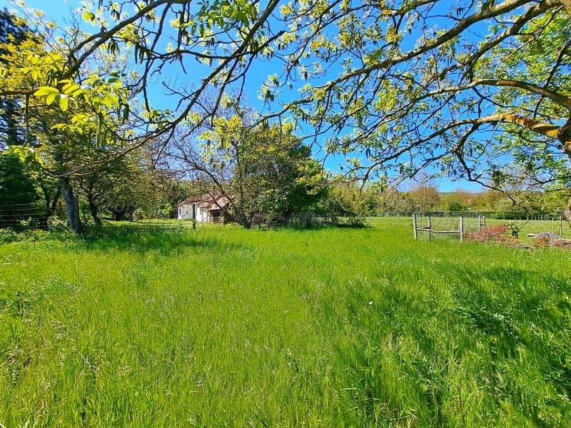Ruhiges Baugrundstück in Balatonhenye, Natur pur