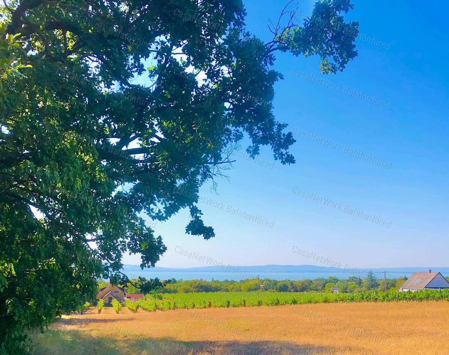 Bebaubares Weinbergareal in Balatonakali mit Balaton-Panorama