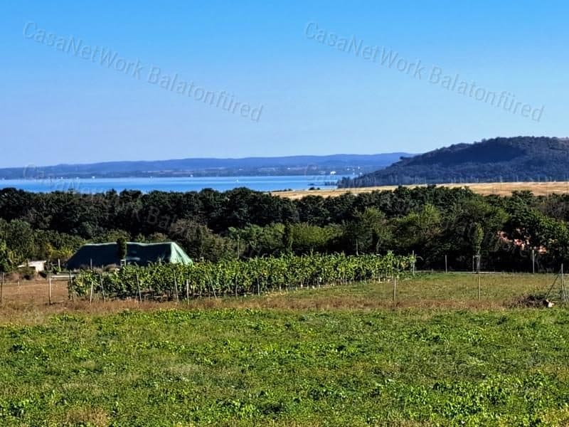 Panoramablick, bebaubar — Weinberg in Balatonfüred