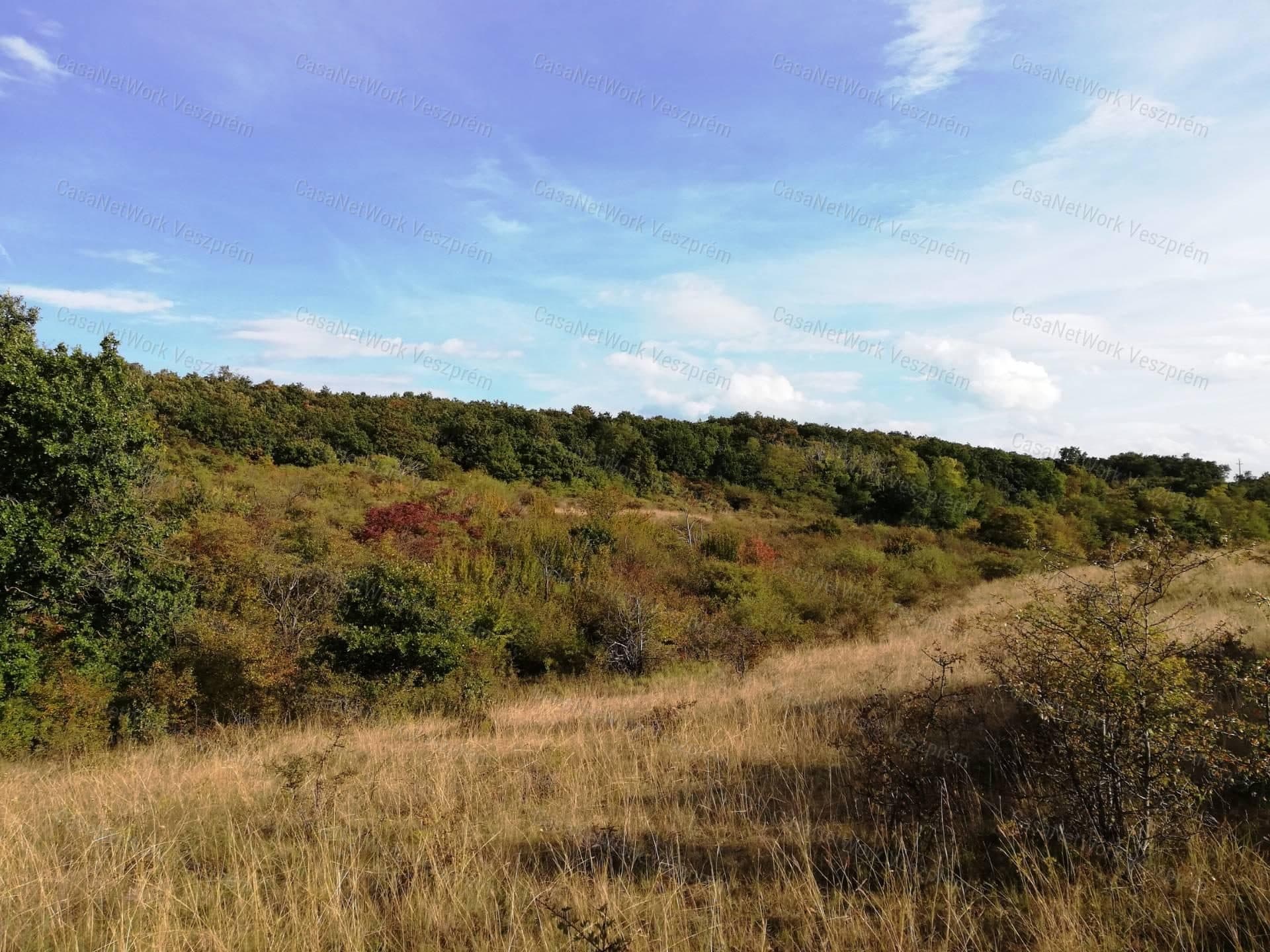 Zártkert zu verkaufen, BALATONALMÁDI