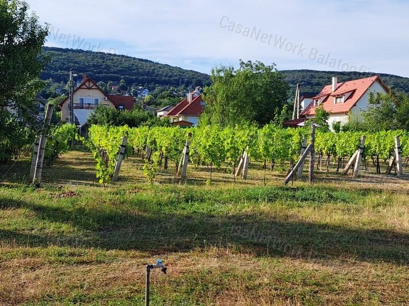 Kleingarten in Csopak mit teilweiser Erschließung