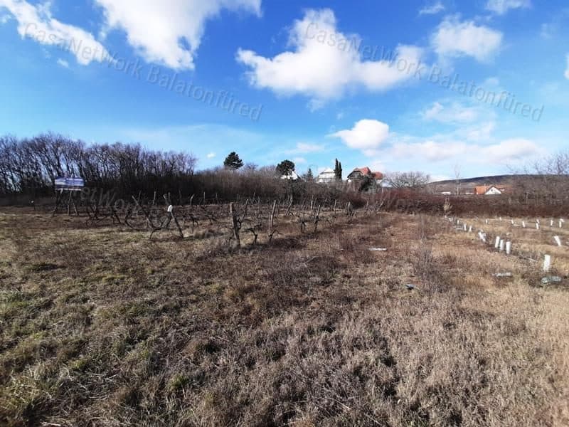PANORAMAWEINBERG zum Verkauf in Csopak