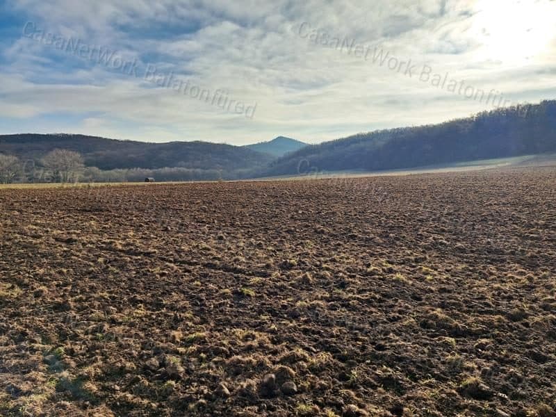 Landwirtschaftliche Fläche nahe Monoszló