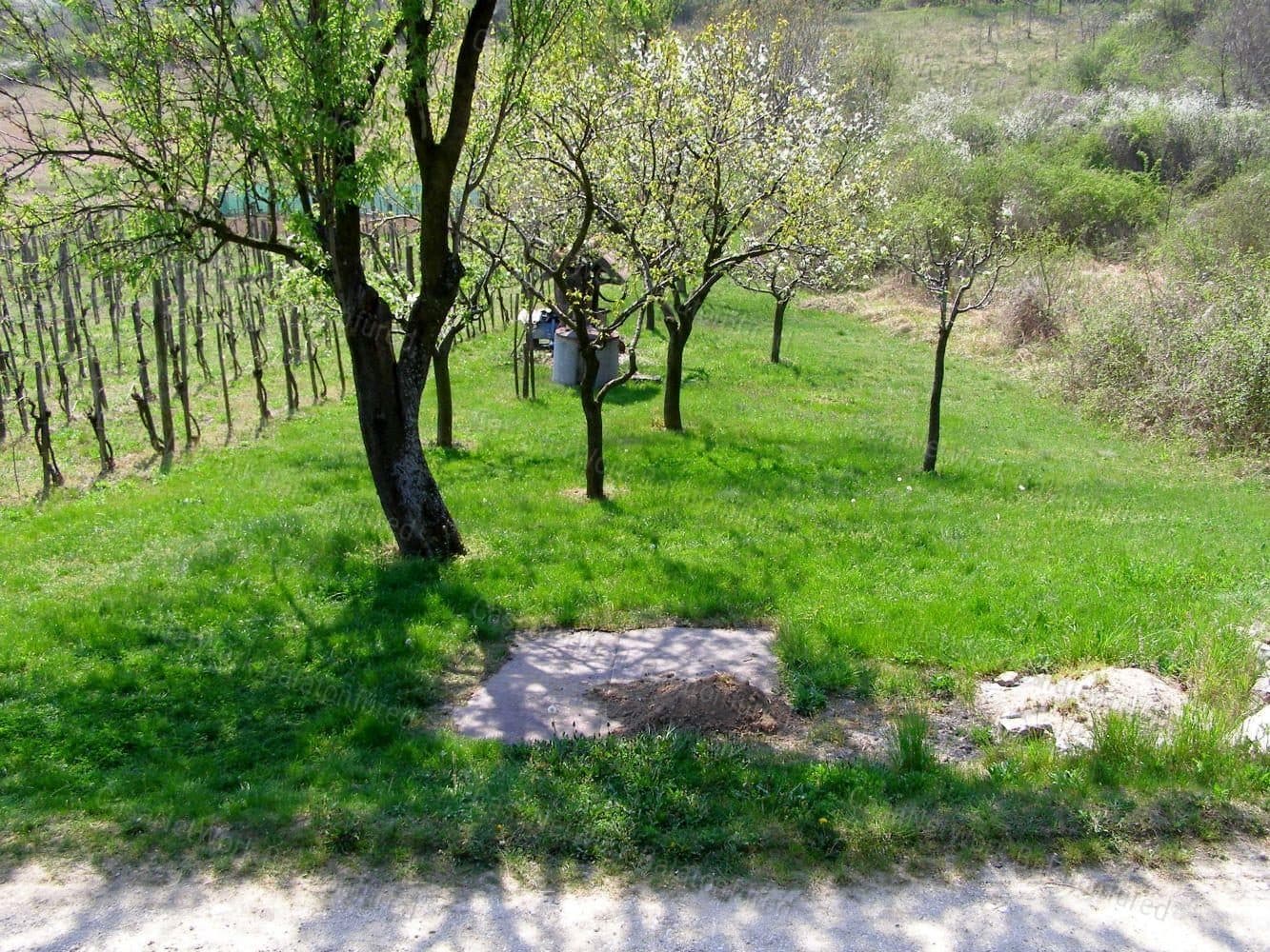 Gartengrundstück mit Landschaftspanorama in Pécselyi