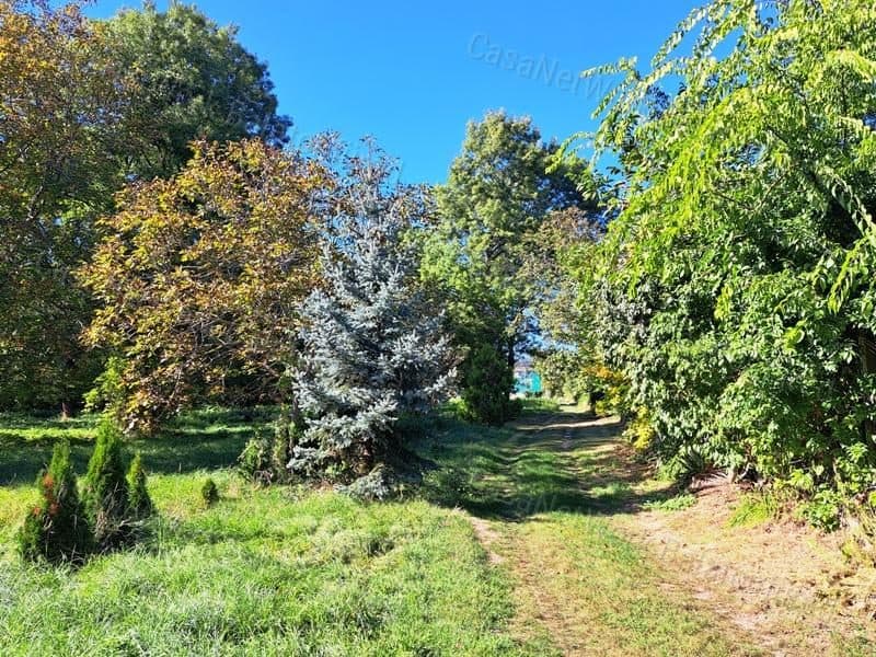 Weinberg im Wohngebiet - Balatonfüred
