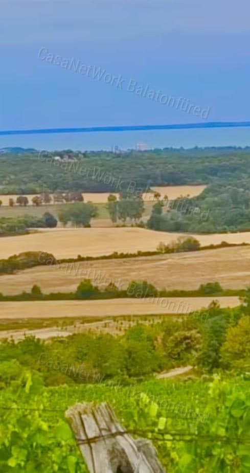 Hochwertiges Panorama-Weingut